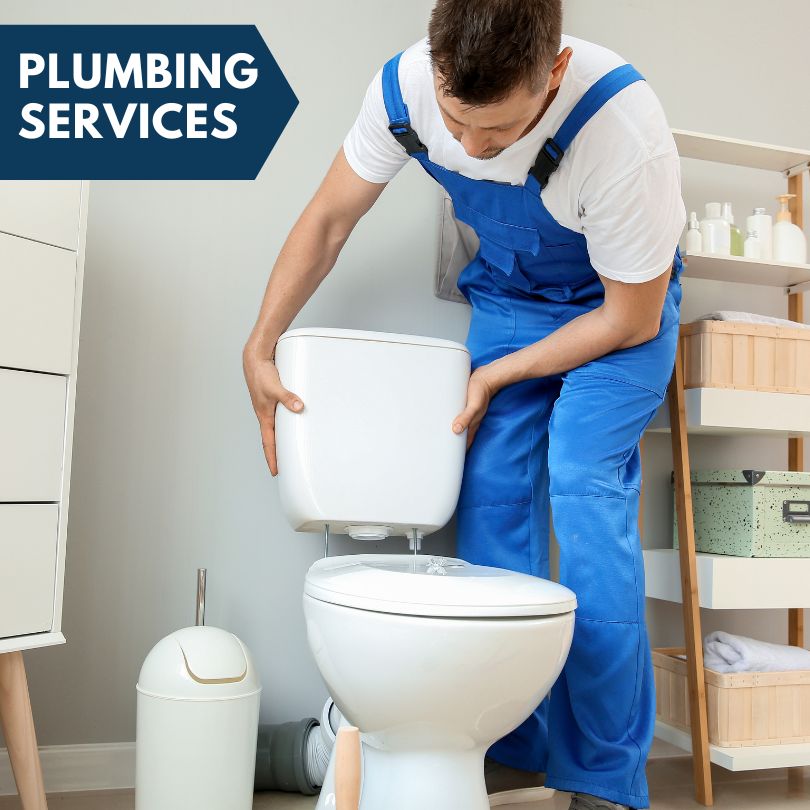 Plumbing Company in Mount Morris, IL